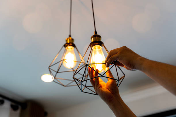 Best Ceiling Fan Installation Electrician  in Roberta, GA
